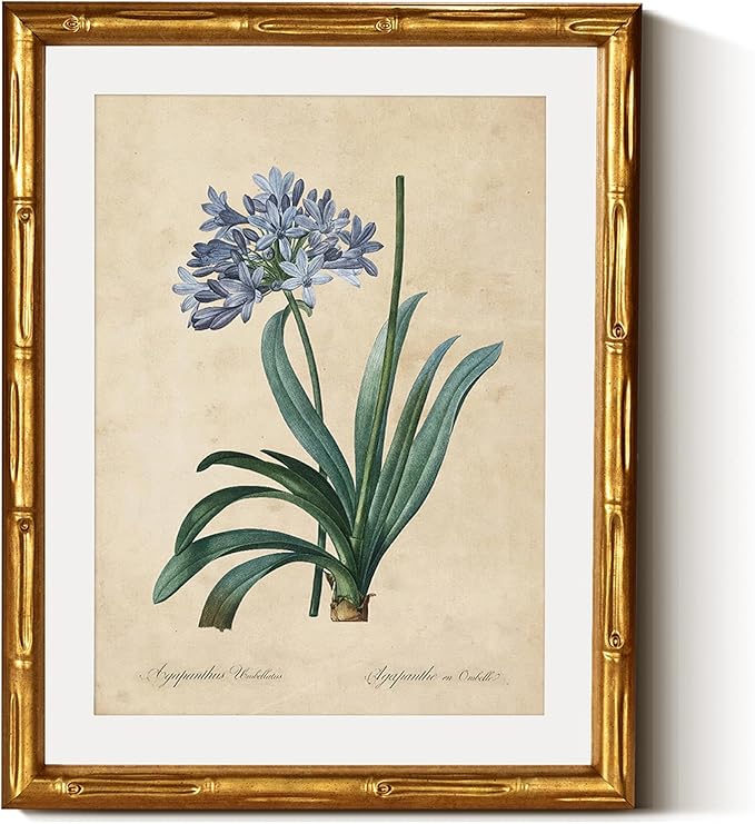 InSimSea Gold Bamboo Framed Canvas Wall Art, Retro African Lily Botanical Prints by InSimSeaArt
