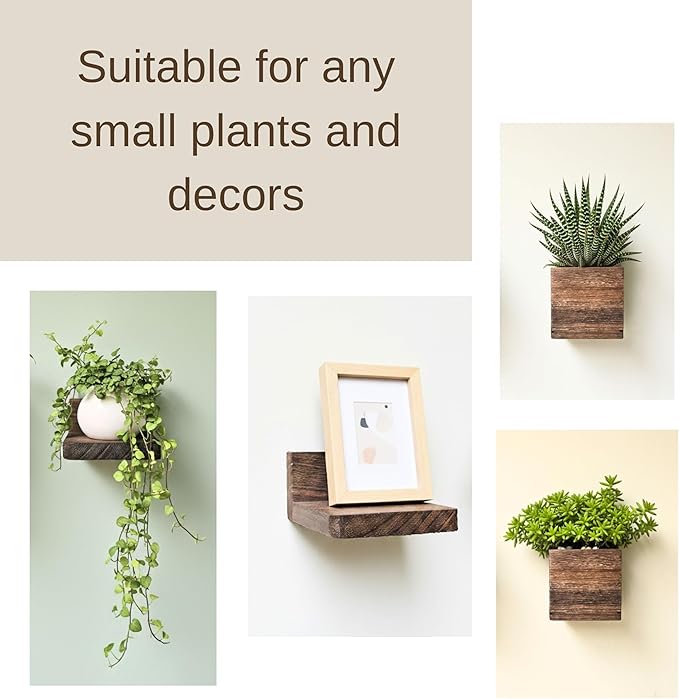 LaLaGreen Wood Planter Box for Indoor Plants Wooden Wall Hanging Planters for - Image 6