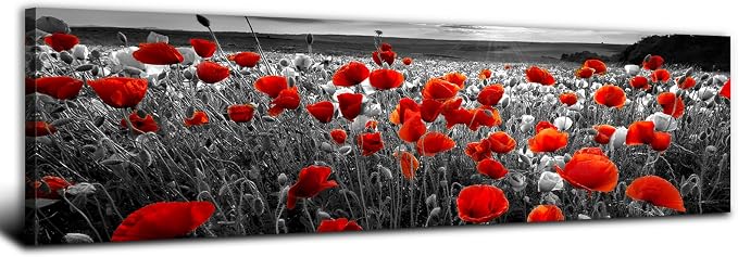 Nature Poppy Wall Art Red and Black Wall Decor Wildflower Field Landscape by AREBOLOLLC