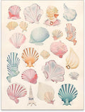 Pink Seashell Posters Coastal Cowgirl Canvas Wall Art Beach House Starfish by Unknown
