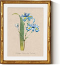 InSimSea Gold Bamboo Framed Canvas Wall Art, Retro Blue Iris Botanical Prints by InSimSeaArt