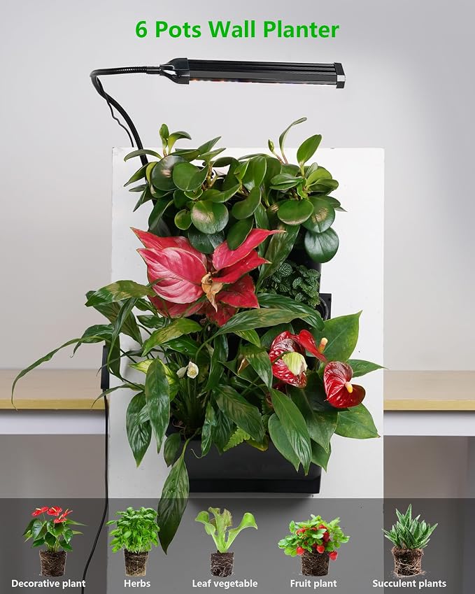 Wall Planters for Indoor Plants - Image 2