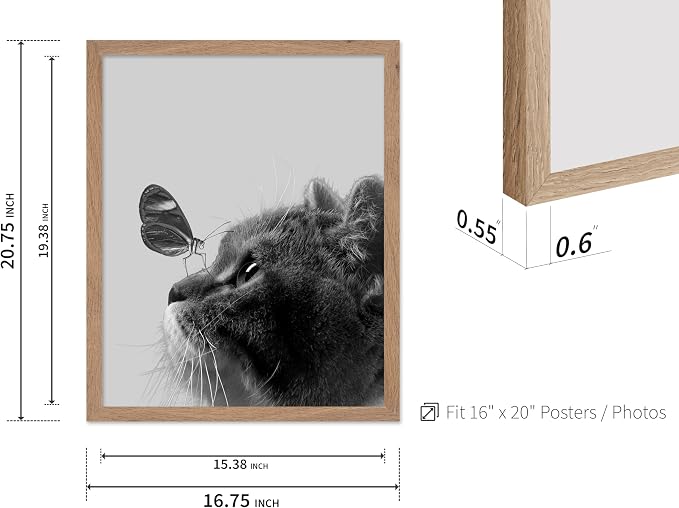 Poster Master Butterfly on Cat Print - Image 3