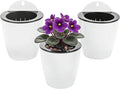3 Pack Self Watering Wall Hanging Planter Pots Vertical Garden Window Hang by OrimercGarden