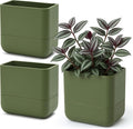 Phoenix Vine 6.5 Inch Wall Mounted Self-Watering Planter Pot by Phoenix+Vine