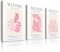 HesenDot Framed Matisse Pink Wall Art Set of 3, Minimalist Wall Decor, 12x16IN by HesenDot