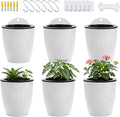 6 Pack Hanging Planter Wall Planter Self Watering 5 inch Plant Pot by OrimercGarden