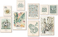KBKBART 9 PCS Sage Green Wall Art by KBKBART