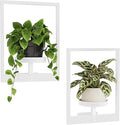 Bamworld White Plant Stand Indoor, Plant Hanger Wall Planters by Bamworld