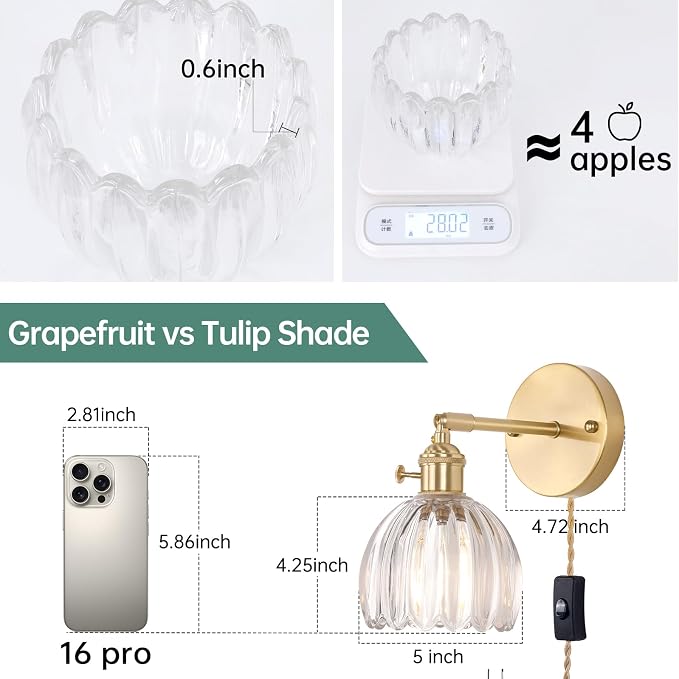 Shenmoyl Plug in Wall Sconce, Transparent Tulip Glass Lampshade Wall Light - Image 3