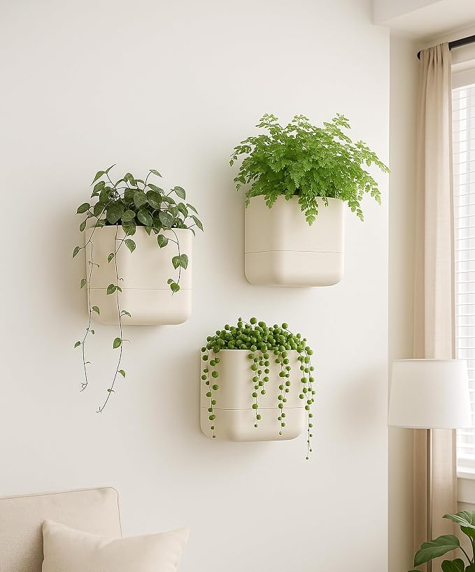 Phoenix Vine 6.5 Inch Wall Mounted Self-Watering Planter Pots - Image 6