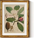 InSimSea Gold Bamboo Framed Canvas Wall Art, Retro Nature Magnolia Botanical by InSimSeaArt