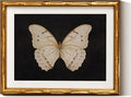 InSimSea Gold Bamboo Framed Canvas Wall Art, Retro White Butterfly Animal by InSimSeaArt