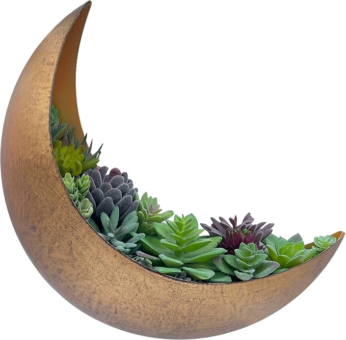 Moon Wall Planter by AERLO