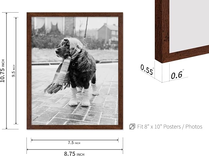 Poster Master Vintage Dog Dressed - Image 3