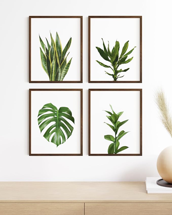 HAUS AND HUES Plant Photo Set of 4-16x20 Framed Walnut - Image 5