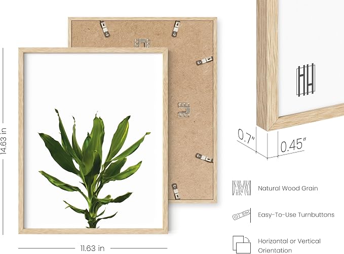 HAUS AND HUES Plant Wall Art - Image 3