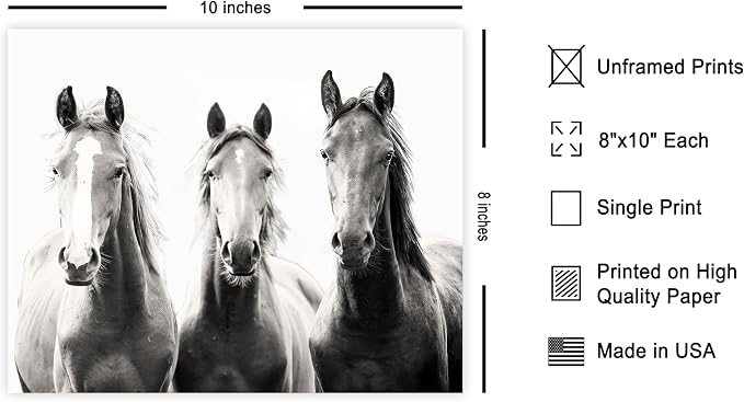 Poster Master Horse Poster - Image 2