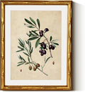 InSimSea Gold Bamboo Framed Canvas Wall Art, Vintage Olives Botanical Prints by InSimSeaArt