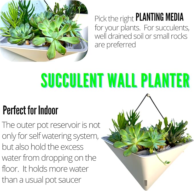 LaLaGreen Wall Planters for Indoor Plants - Image 5