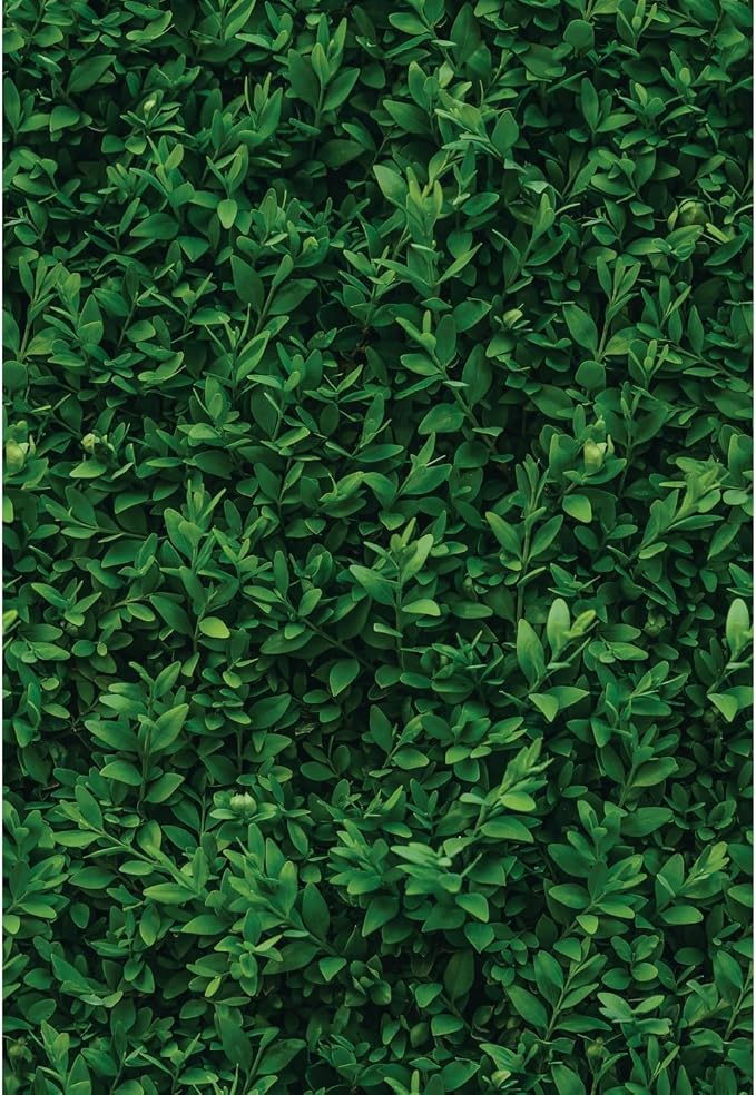 Main Street Peel and Stick Wallpaper Eco-Friendly Sheets 12 Pack, 11 X 16 Inch by MainStreet