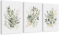 WRFON UnFramed Sage Green Botanical Wall Art Set of 3, Watercolor Eucalyptus & by Unknown