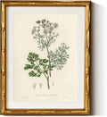 InSimSea Gold Bamboo Framed Canvas Wall Art, Plants Fern Botanical Paintings by InSimSeaArt