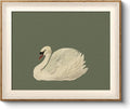 VIYYIEA Framed Wall Art for Living Room, Swan Canvas Prints, Animals Painting by VIYYIEAART