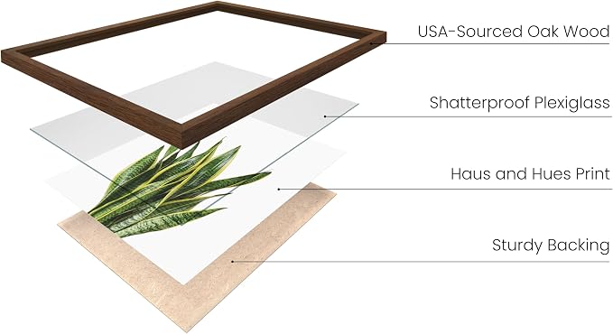 HAUS AND HUES Plant Photo Set of 4-16x20 Framed Walnut - Image 2