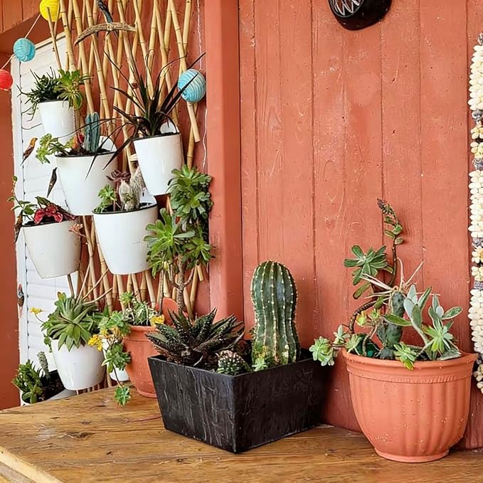 3 Pack Self Watering Wall Hanging Planter Pots Vertical Garden Window Hang - Image 4