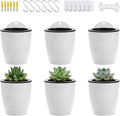 4 Inch Self Watering Hanging Planters, Wall Mounted Plant Pots by OrimercGarden