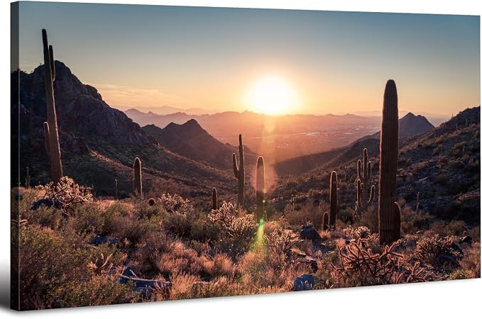Mountain Wall Art Sunset Cactus Wall Decor Arizona Sonoran Desert Canvas by HOME