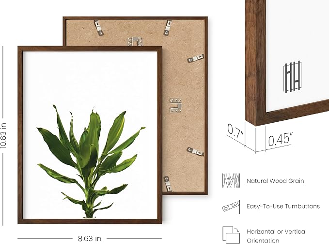 HAUS AND HUES Plant Wall Art - Image 3