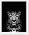 Poster Master Vintage Photograph Poster by PosterMaster