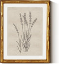 InSimSea Gold Bamboo Framed Canvas Wall Art, Minimalist Lavender Botanical by InSimSeaArt