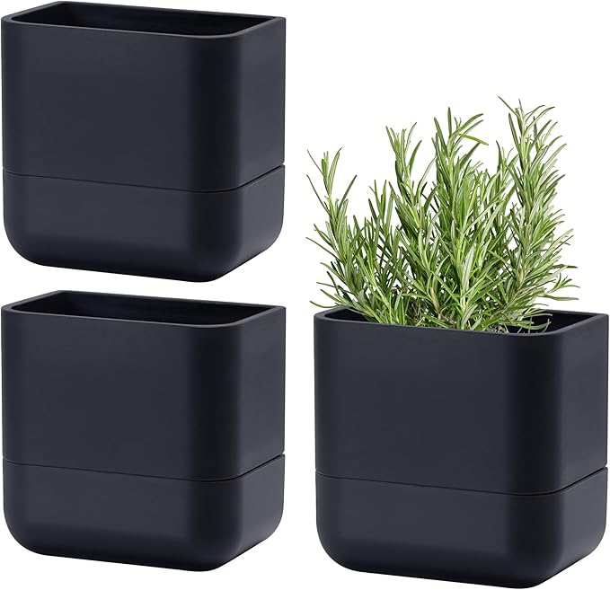 Phoenix Vine 6.5 Inch Wall Mounted Self-Watering Planter Pot by Phoenix+Vine