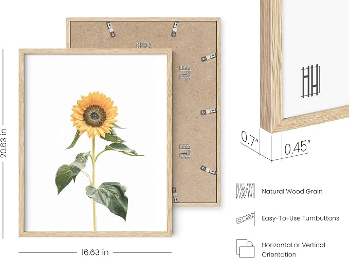 HAUS AND HUES Sunflower Set Collage 16x20 - Image 3