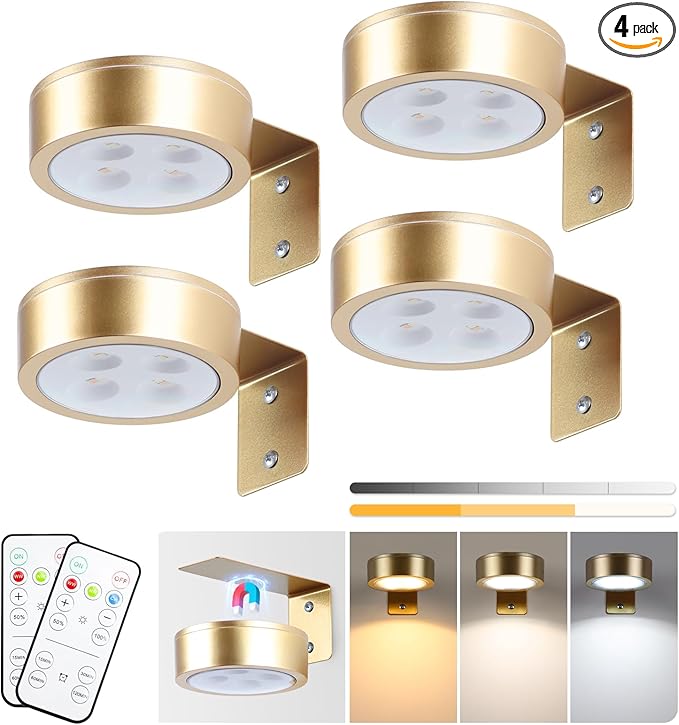 KELUOLY 4-Pack Picture Light Battery Operated Painting Lights by KELUOLY