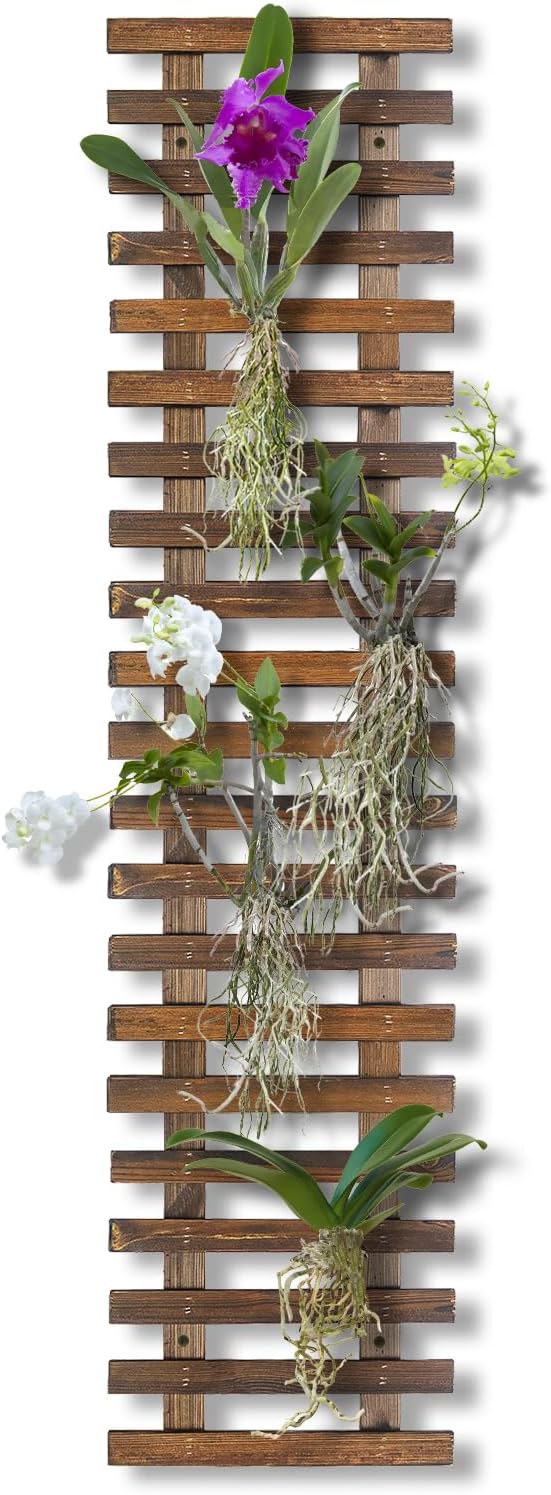 Mulctun Wall Planters by Unknown
