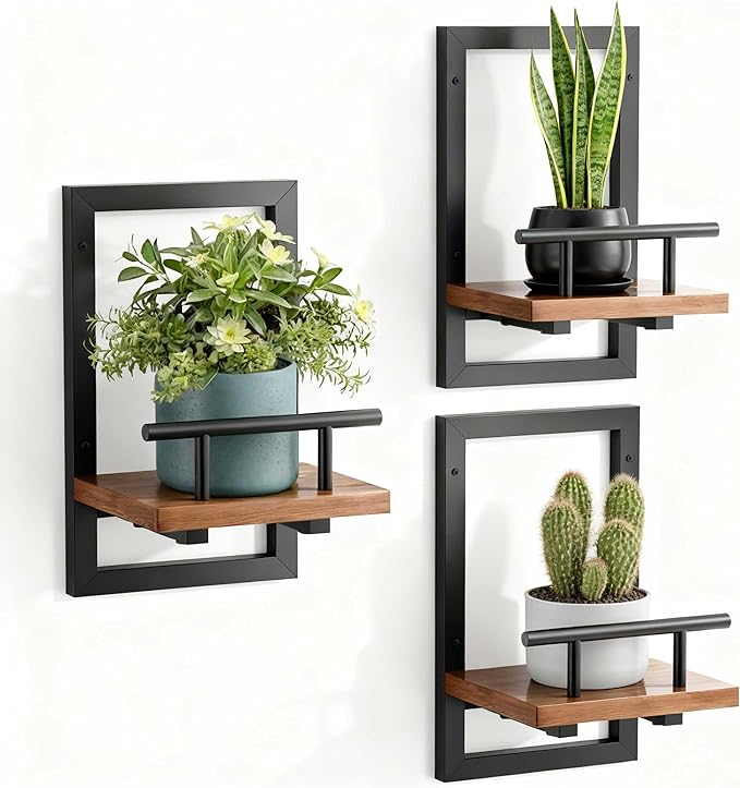 Sbosbo Floating Shelves for Wall, Plant Shelf Indoor, Wall Planters for Indoor by SBOSBO