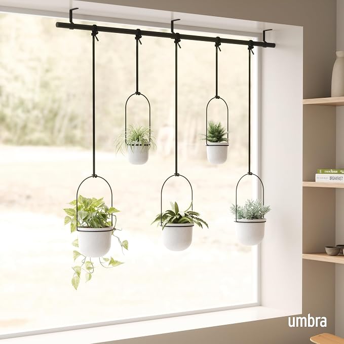 Umbra Triflora Hanging Planter for Window, Indoor Herb Garden - Image 2