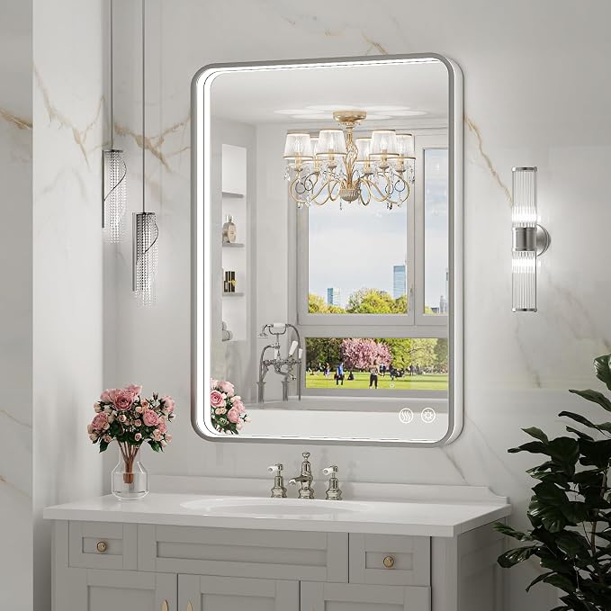 LED Bathroom Mirror with Lights, 20x28 Inch Brushed Silver Framed Lighted by FTOTI