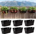 LaLaGreen Wall Planter Black Oval Metal Wall Hanging Decor Plant Holder by L%C3%A1L%C3%A1Green
