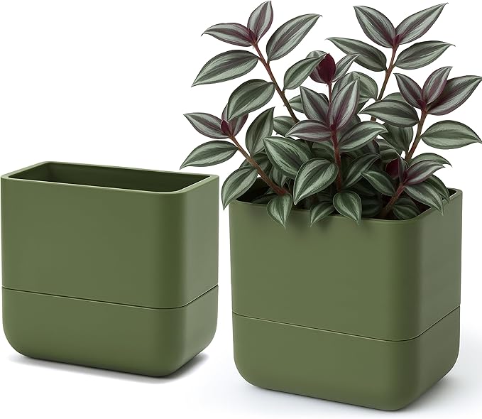 Phoenix Vine 6.5 Inch Wall Mounted Self-Watering Planter Pot by Phoenix+Vine