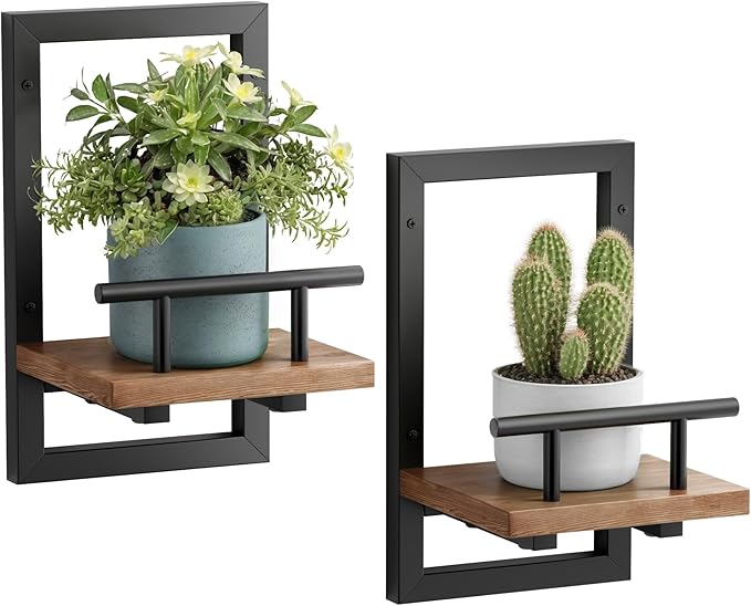 Sbosbo Floating Shelves for Wall, Plant Shelf Indoor, Wall Planters for Indoor by SBOSBO