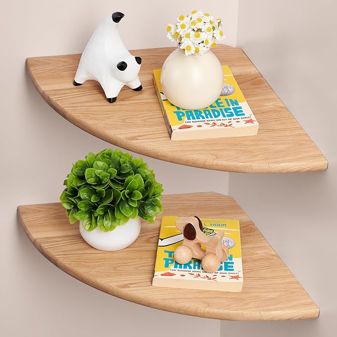 Gieanoo Floating Corner Shelves by GIEANOO