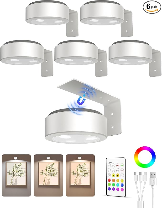 EZVALO Picture Lights for Wall, 2000mAh Rechargeable Battery Magnetic Poster by EZVALO