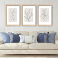 YWJKWLGS Neutral Botanical Prints Framed Wall Art Decor 16x24 Inch Set of 3 by Unknown