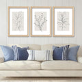 YWJKWLGS Neutral Botanical Prints Framed Wall Art Decor 11x16 Inch Set of 3 by Unknown