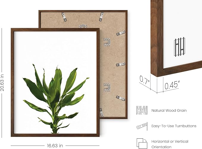 HAUS AND HUES Plant Photo Set of 4-16x20 Framed Walnut - Image 3